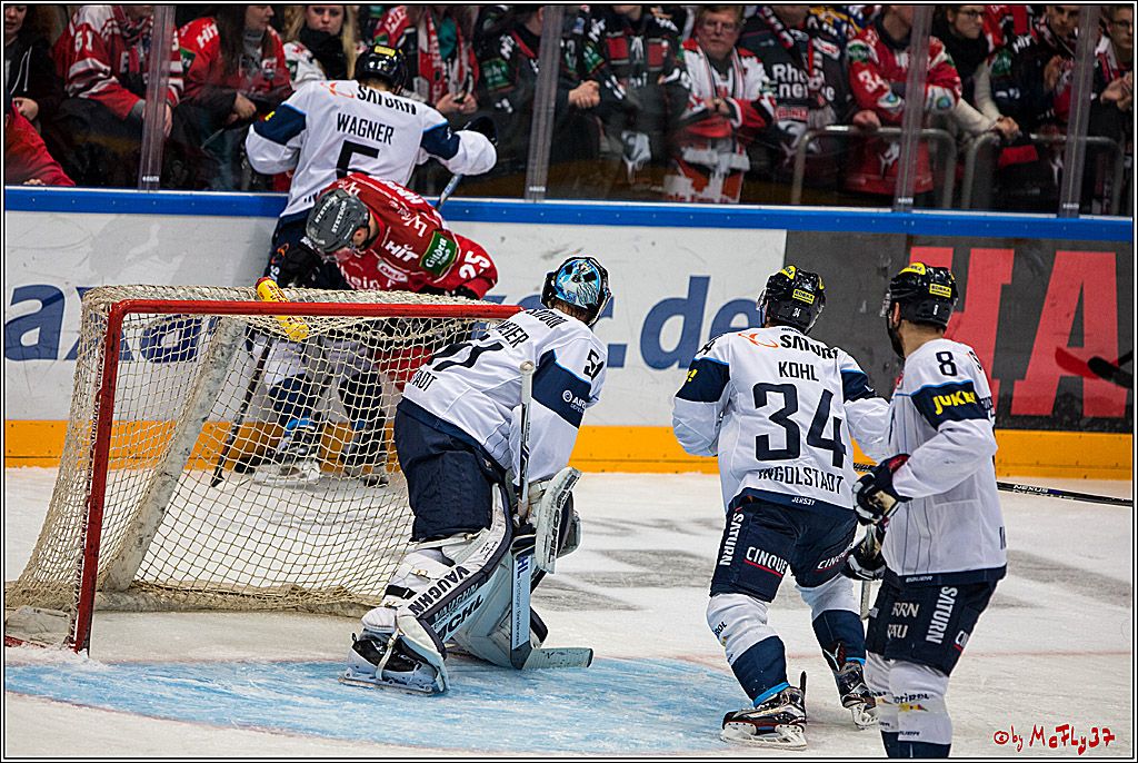 DEL, Koelner Haie - ERC Ingolstadt, 20.01.2017